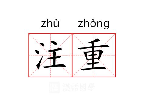 注重|注重 (zhù zhòng) Definition & Meaning